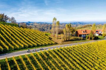 Weinland Steiermark Radtour