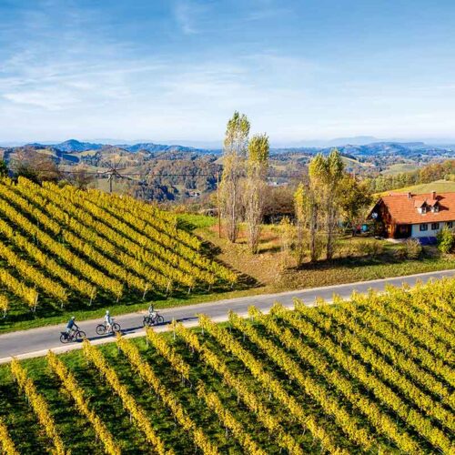 Weinland Steiermark Radtour