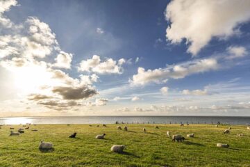 Die schönsten Radwege rund um Büsum