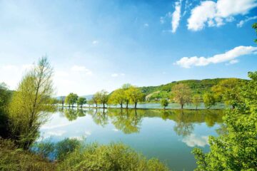 Osterspaier Langhalsweg – Deutschlands schönster Wanderweg am Rhein