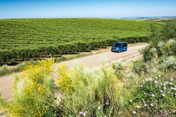 Roadtrip der Extraklasse: Die perfekte Portugalschleife