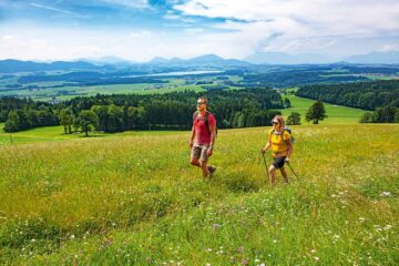 Landschaft in Grün und Blau im Salzburger Seenland