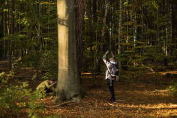 Naturfotokurs am Werbellinsee: Herbststimmung fotografisch erleben