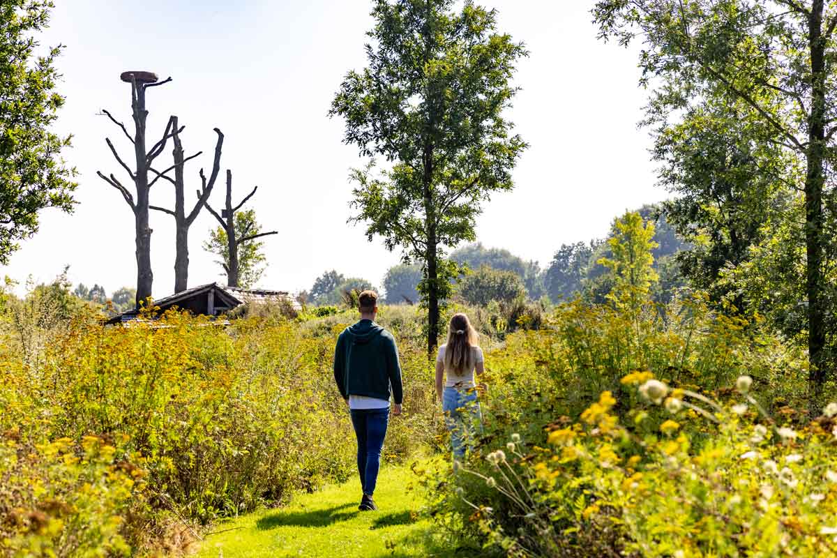Van-Gogh_Wandern-durch-malerische-Landschaften--©Brabant-Partners