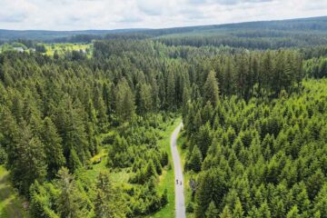 Radtouren durch Vogtlands grüne Wälder