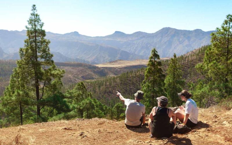 15 Jahre Jubiläum: Das Gran Canaria Walking Festival 2026<span class="sponsored_text"><br>ANZEIGE</span>