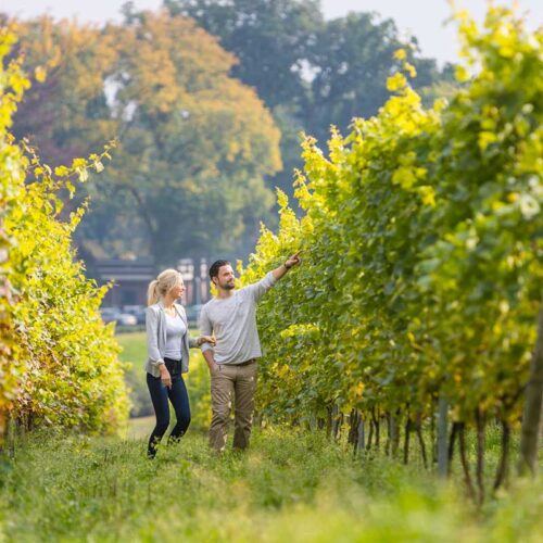 Auf Spurensuche zwischen Wein, Wald und Weltgeschichte: Unterwegs in der Grenzregion<span class="sponsored_text"><br>ANZEIGE</span>