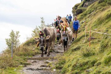 Der Weg über die Scala Mola