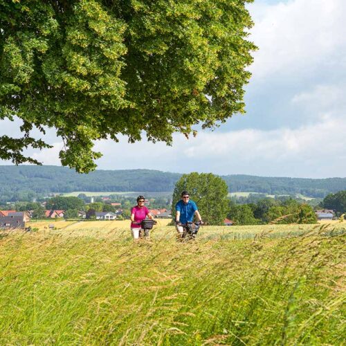 Die Grenzgängerroute Teuto-Ems mit dem E-Bike entdecken