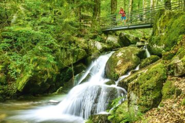 Wandern durch die grüne Seite des Schwarzwalds