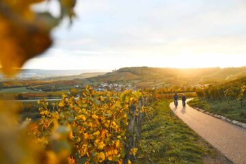 HeilbronnerLand: Tagestouren mit Genuss