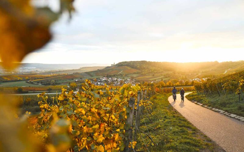 HeilbronnerLand: Tagestouren mit Genuss<span class="sponsored_text"><br>ANZEIGE</span>