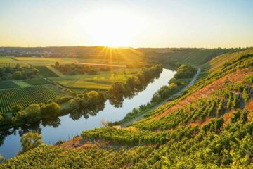 Wanderungen im und um den Naturpark Stromberg-Heuchelberg