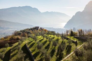 Das flüssige Gold des Trentino
