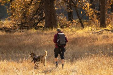 Wandern mit Hund: Die schönsten Routen in Deutschland